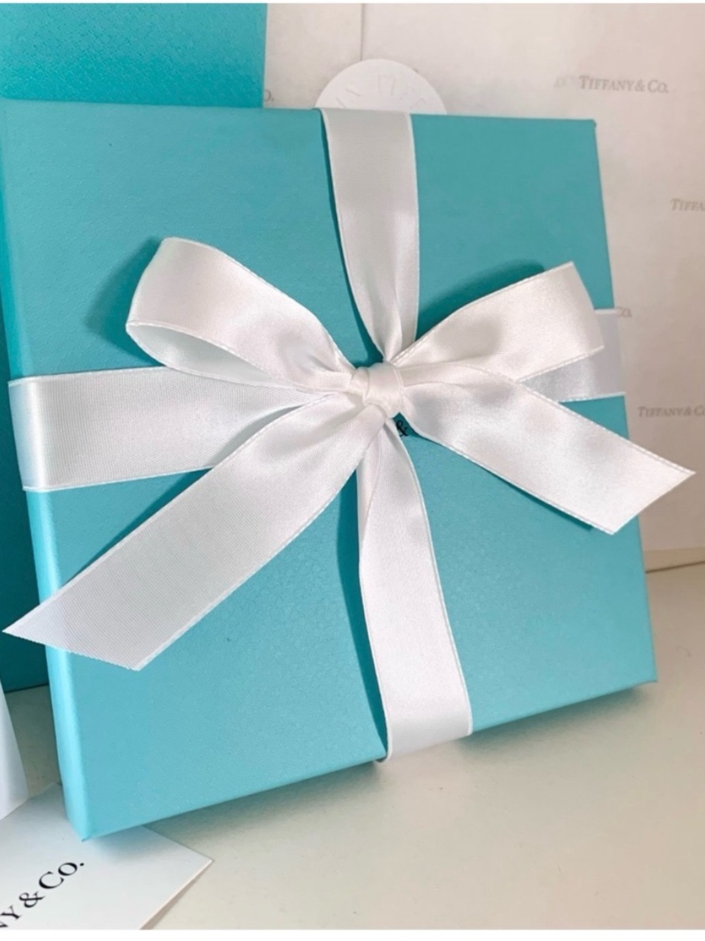 Hold Tiffany & Co. Gift Set Box Bag Ribbon Card Full Set Large